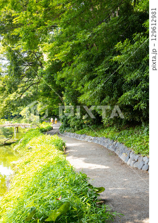 初夏の清澄庭園 129612981