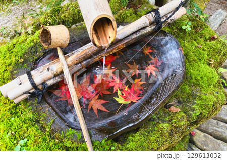 大原 宝泉院 宝楽園の美しい紅葉の手水鉢(京都府京都市左京区) 大原 宝泉院 宝楽園の美しい紅葉の手水鉢(京都府京都市左京区) 129613032