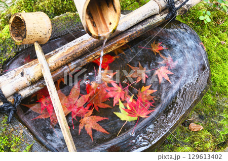 大原　宝泉院　宝楽園の美しい紅葉の手水鉢（京都府京都市左京区）　 129613402