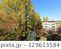 UR千里青山台団地の秋 129613584