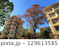 UR千里青山台団地の秋 129613585