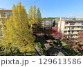 UR千里青山台団地の秋 129613586