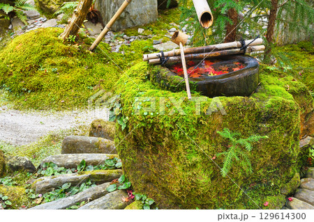 大原　宝泉院　宝楽園の美しい紅葉の手水鉢（京都府京都市左京区）　 129614300