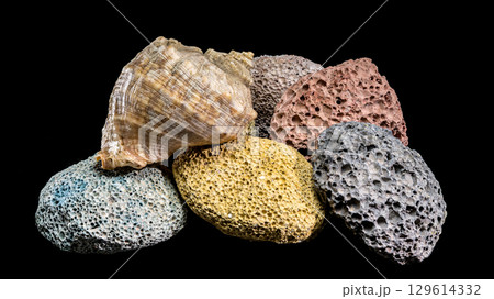 A collection of volcanic rocks and a seashell against black 129614332