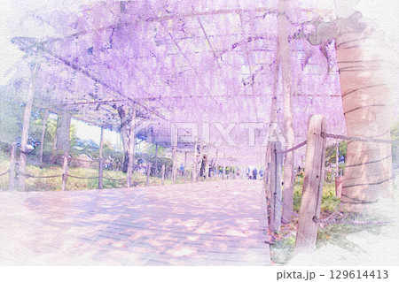 [愛知県]江南市曼陀羅寺公園の藤棚の水彩画 129614413