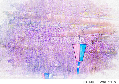 [愛知県]江南市曼陀羅寺公園の藤棚の水彩画 129614419