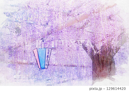 [愛知県]江南市曼陀羅寺公園の藤棚の水彩画 129614420