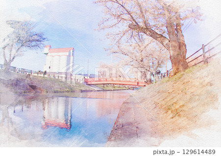 [愛知県]丹羽郡大口町の五条川の桜並木の水彩画 129614489