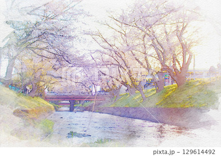 [愛知県]丹羽郡大口町の五条川の桜並木の水彩画 129614492