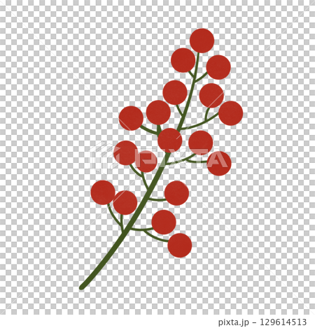 Red berries on the branch 129614513