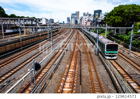 東京の鉄道風景 鶯谷駅周辺に連なる線路 2025.07　 c-2 高彩度コントラスト 129614571