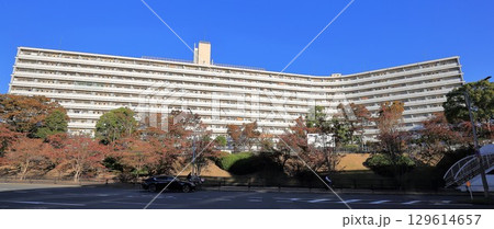 UR千里青山台団地の74棟　秋 129614657