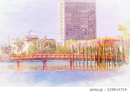 [愛知県]津島市天王川公園の藤棚の水彩画 129614724