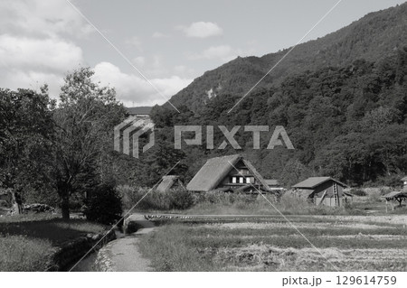 白川郷から望む城跡展望台 白川郷から望む城跡展望台 129614759