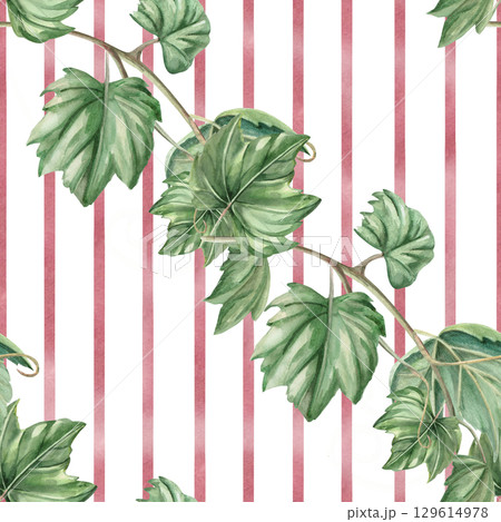 Seamless pattern with diagonal grape branches on striped background. Watercolor illustration in realistic style for packaging design, wine list, printing on kitchen textiles and fabric. 129614978