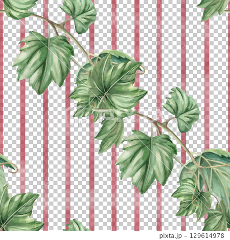Seamless pattern with diagonal grape branches on striped background. Watercolor illustration in realistic style for packaging design, wine list, printing on kitchen textiles and fabric. 129614978