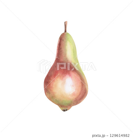 Ripe juicy pear of green-red color. Isolated watercolor illustration of the whole fruit for design of packages of juices, purees, baby food, jam, compotes, printing on posters and clothes. Ripe juicy pear of green-red color. Isolated watercolor illustration of the whole fruit for design of packages of juices, purees, baby food, jam, compotes, printing on posters and clothes. 129614982