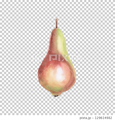 Ripe juicy pear of green-red color. Isolated watercolor illustration of the whole fruit for design of packages of juices, purees, baby food, jam, compotes, printing on posters and clothes. 129614982