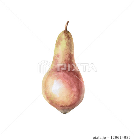 Ripe juicy pear. Isolated watercolor illustration of a whole fruit for design of juice, puree, baby food, jam, compote packaging, printing on posters and clothes. 129614983