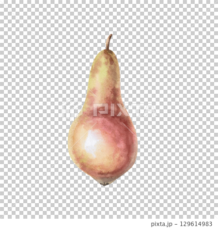 Ripe juicy pear. Isolated watercolor illustration of a whole fruit for design of juice, puree, baby food, jam, compote packaging, printing on posters and clothes. 129614983
