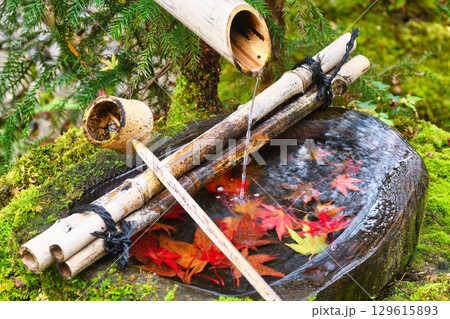大原　宝泉院　宝楽園の美しい紅葉の手水鉢（京都府京都市左京区）　 129615893