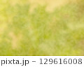 抽象的な模様の背景素材 129616008