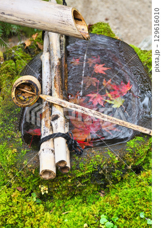 大原　宝泉院　宝楽園の美しい紅葉の手水鉢（京都府京都市左京区）　 129616010