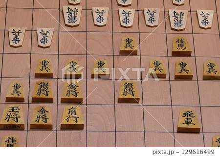 将棋の対局の指し手 将棋の対局の指し手 129616499