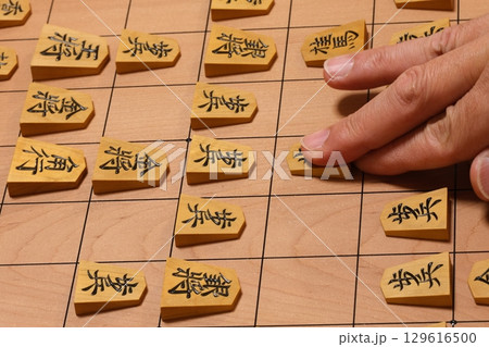 将棋の対局の指し手 将棋の対局の指し手 129616500