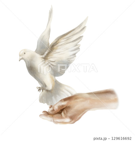 A hand opens to liberate a white dove.Pigeon soaring in air,spread its wings as a symbol of freedom and peace concept.Hand drawn watercolor illustration isolated on white for wedding or nature-themed A hand opens to liberate a white dove.Pigeon soaring in air,spread its wings as a symbol of freedom and peace concept.Hand drawn watercolor illustration isolated on white for wedding or nature-themed 129616692
