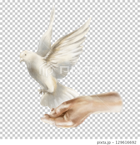 A hand opens to liberate a white dove.Pigeon soaring in air,spread its wings as a symbol of freedom and peace concept.Hand drawn watercolor illustration isolated on white for wedding or nature-themed A hand opens to liberate a white dove.Pigeon soaring in air,spread its wings as a symbol of freedom and peace concept.Hand drawn watercolor illustration isolated on white for wedding or nature-themed 129616692