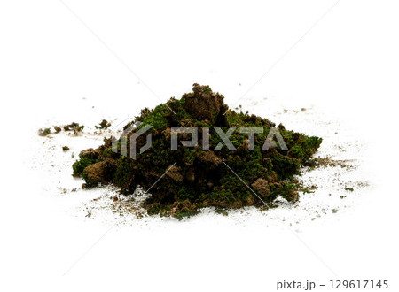 Heap of green moss isolated on white background. Heap of green moss isolated on white background. 129617145