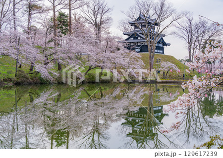 【新潟県】桜が咲いた高田城址公園 129617239