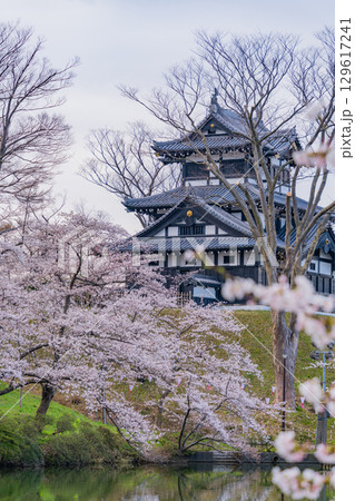 【新潟県】桜が咲いた高田城址公園 【新潟県】桜が咲いた高田城址公園 129617241