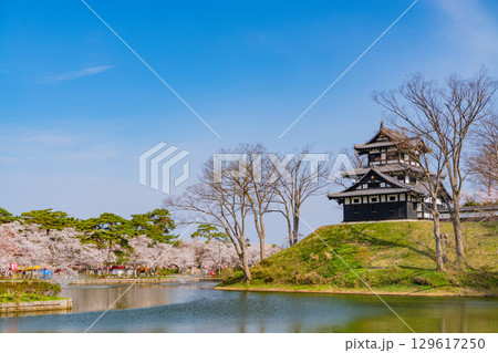 【新潟県】桜が咲いた高田城址公園 129617250