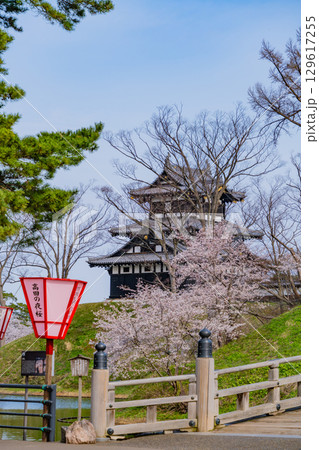 【新潟県】桜が咲いた高田城址公園 【新潟県】桜が咲いた高田城址公園 129617255