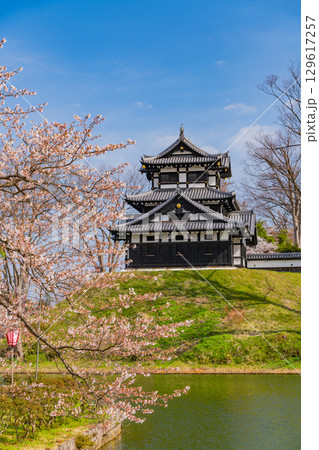 【新潟県】桜が咲いた高田城址公園 129617257