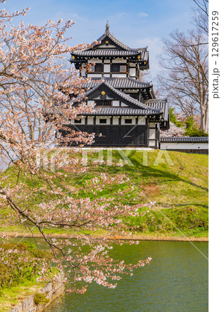 【新潟県】桜が咲いた高田城址公園 129617259
