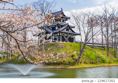 【新潟県】桜が咲いた高田城址公園 129617262