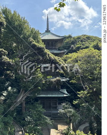 新緑に包まれた五重塔 129617465