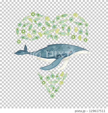 Blue folded phytoplankton with whale inside, watercolor illustration. Ecological emblem for whale day for poster, children's books, print. Biology, ecology, whale, animals, ocean, heart, love 129617511