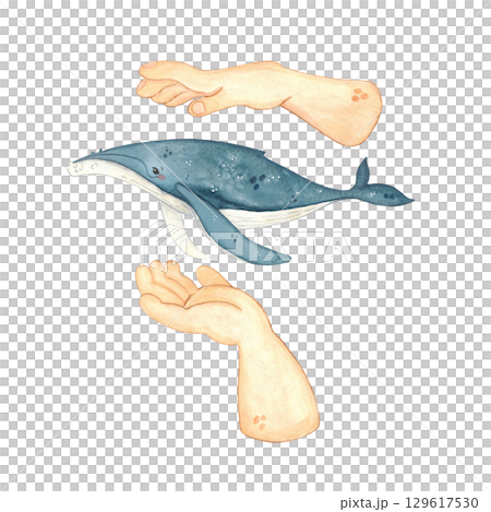 Human hands hugging whale, whale day, watercolor illustration. Ecological scene with a call to protect marine animals for poster, children's books, print. Biology, ecology, whale day, animals, ocean 129617530