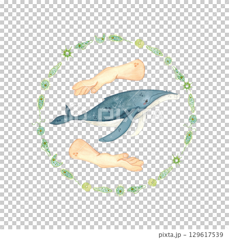 Round frame of phytoplankton with human hands protecting a whale, watercolor illustration. Ecological emblem with the idea of helping sea animals for poster, children books, print. Biology, ecology 129617539