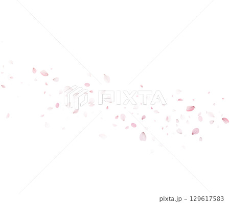 Falling Sakura Petals Vector On Transparent Background For Spring Design Falling Sakura Petals Vector On Transparent Background For Spring Design 129617583