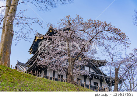 【新潟県】桜が咲いた高田城址公園 129617655