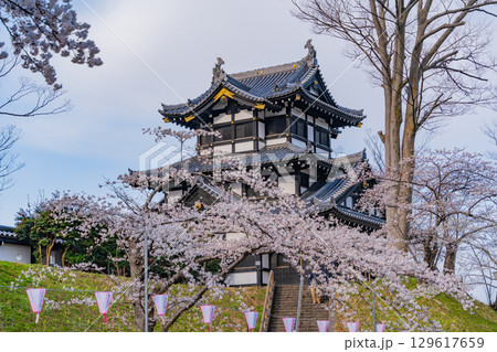 【新潟県】桜が咲いた高田城址公園 【新潟県】桜が咲いた高田城址公園 129617659