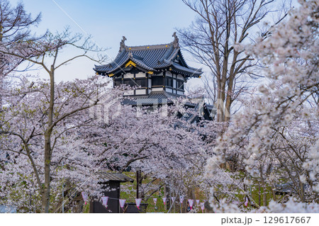 【新潟県】桜が咲いた高田城址公園 129617667