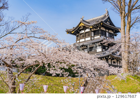 【新潟県】桜が咲いた高田城址公園 129617687