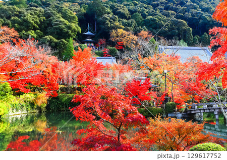 【京都府】永観堂の多宝塔と紅葉 【京都府】永観堂の多宝塔と紅葉 129617752