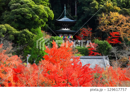 【京都府】永観堂の多宝塔と紅葉 【京都府】永観堂の多宝塔と紅葉 129617757